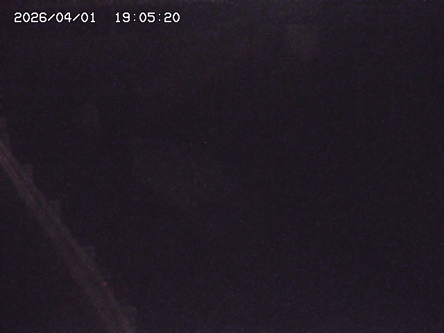 取得できませんでした