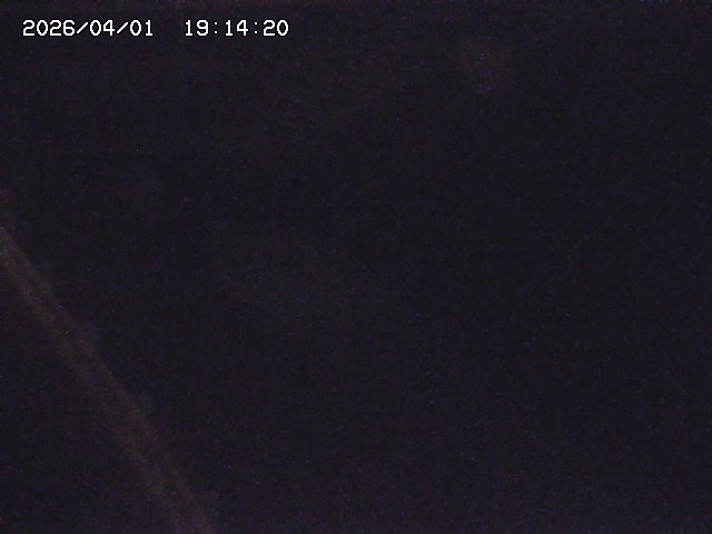 取得できませんでした