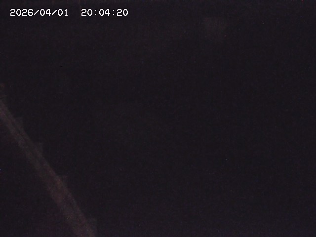 取得できませんでした