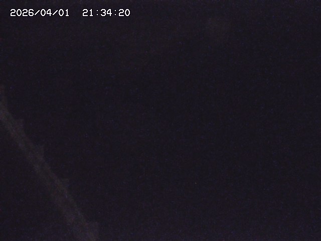 取得できませんでした