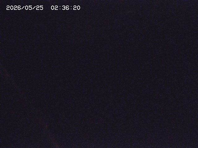 取得できませんでした