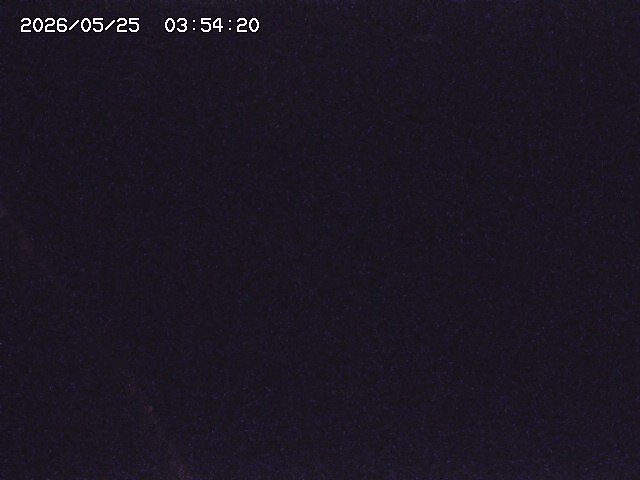 取得できませんでした