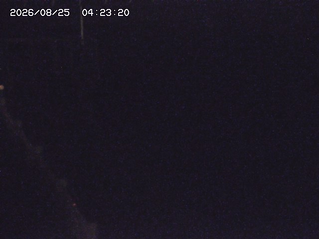 取得できませんでした