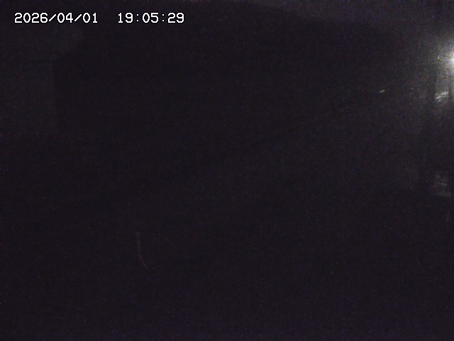 取得できませんでした