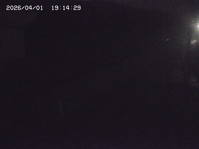 取得できませんでした