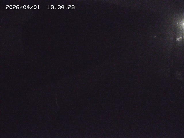 取得できませんでした