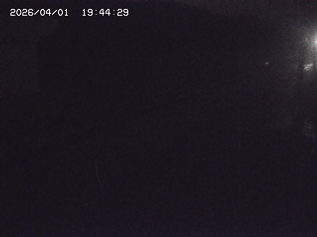 取得できませんでした