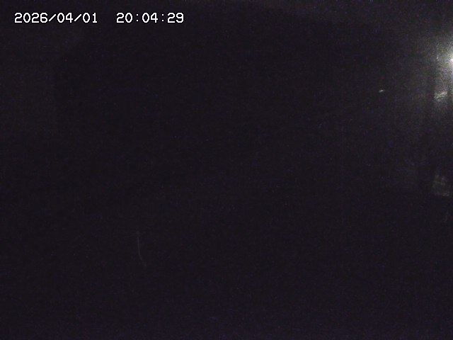 取得できませんでした