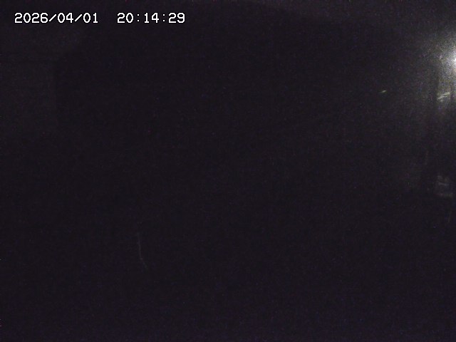 取得できませんでした