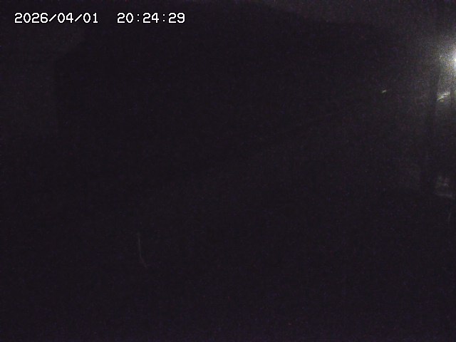 取得できませんでした