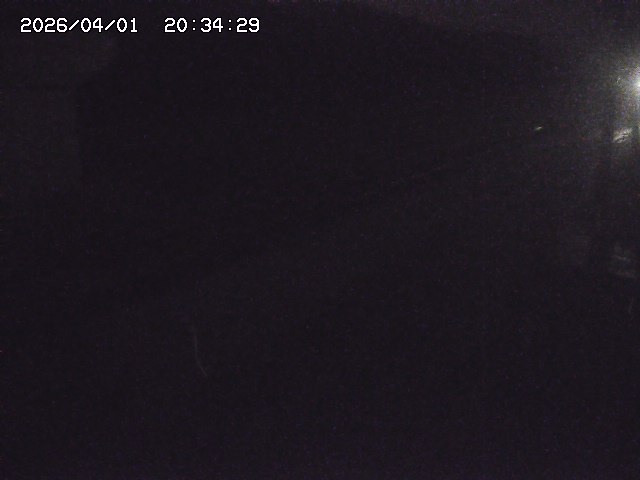 取得できませんでした