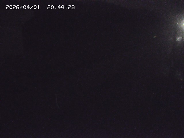 取得できませんでした