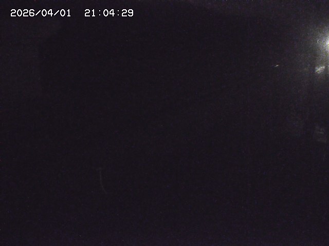 取得できませんでした