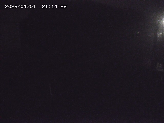 取得できませんでした