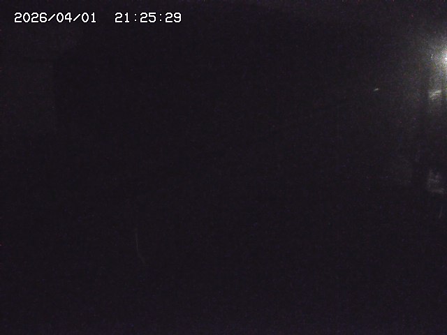 取得できませんでした