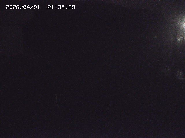 取得できませんでした