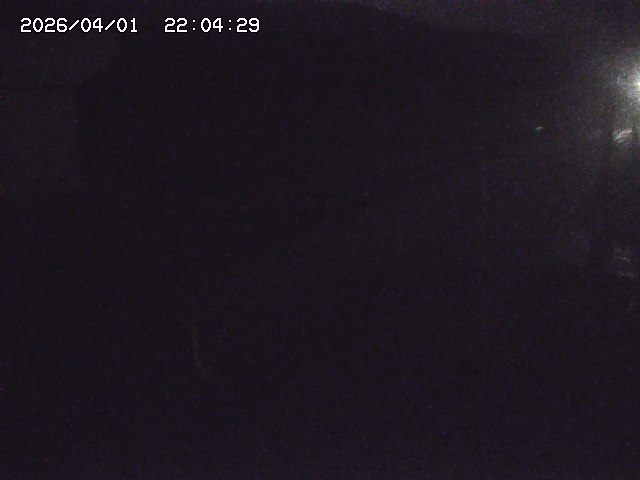 取得できませんでした