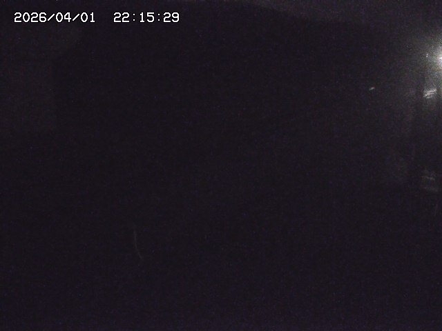 取得できませんでした