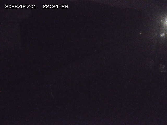 取得できませんでした