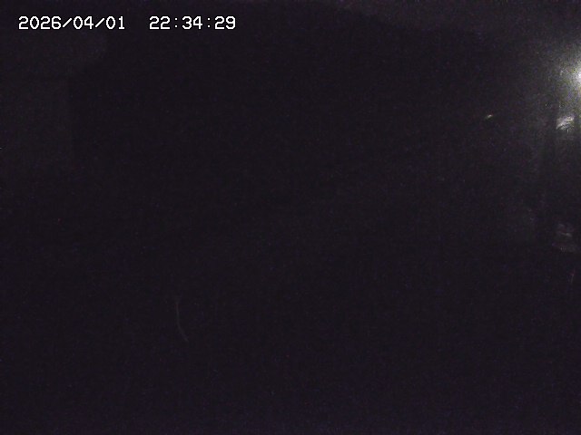 取得できませんでした