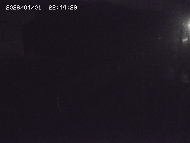 取得できませんでした