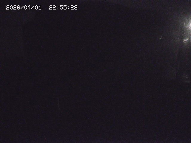 取得できませんでした