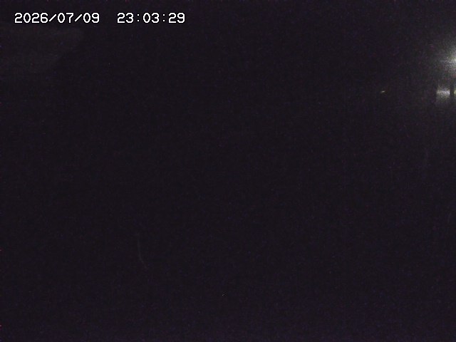 取得できませんでした