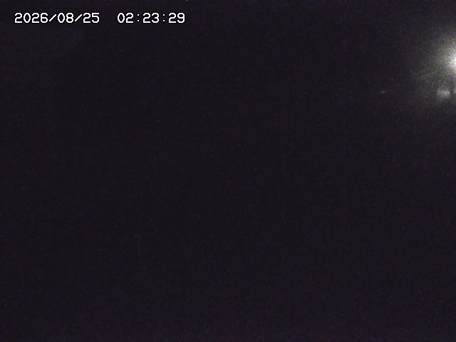 取得できませんでした