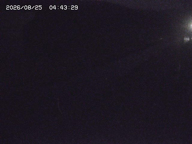 取得できませんでした