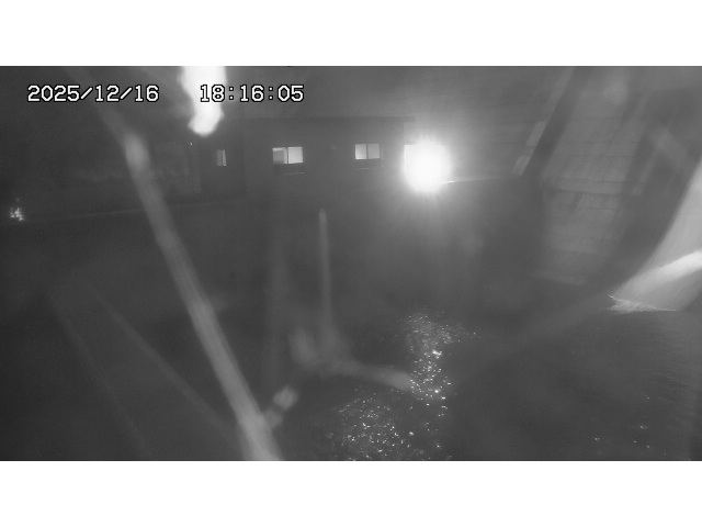 取得できませんでした