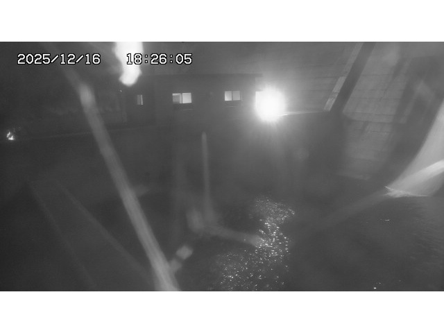 取得できませんでした