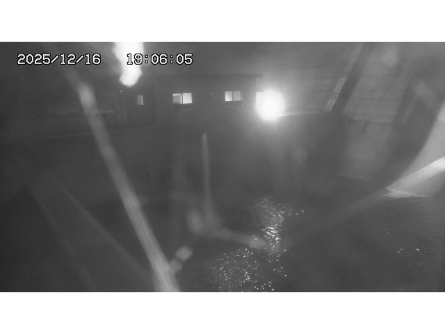 取得できませんでした