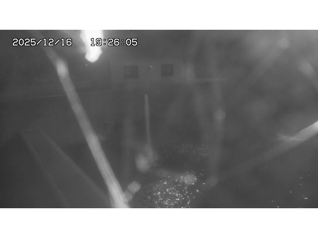 取得できませんでした