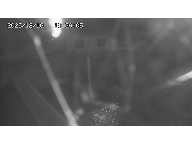 取得できませんでした