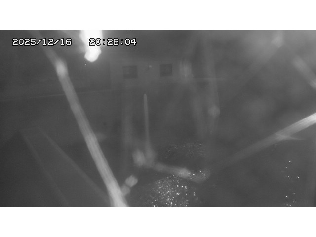 取得できませんでした