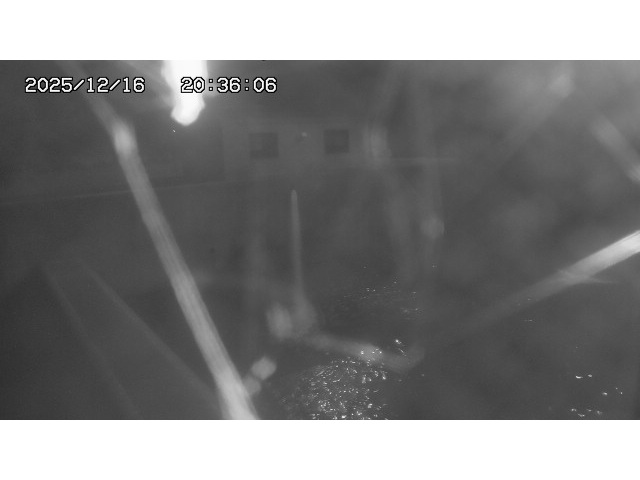 取得できませんでした