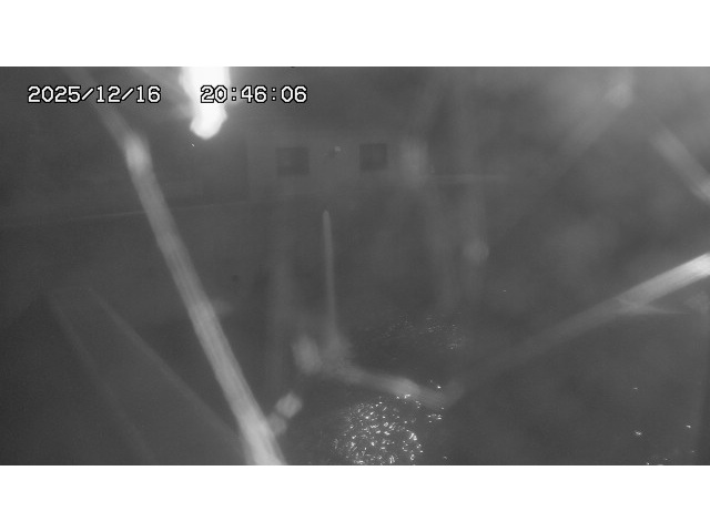 取得できませんでした