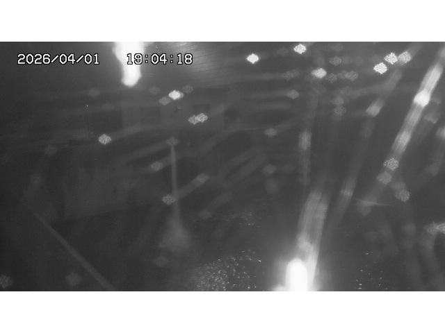 取得できませんでした