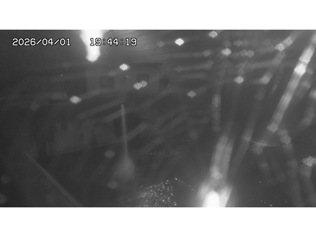 取得できませんでした