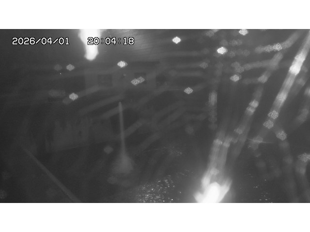 取得できませんでした