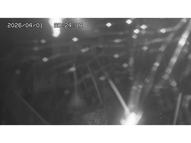 取得できませんでした