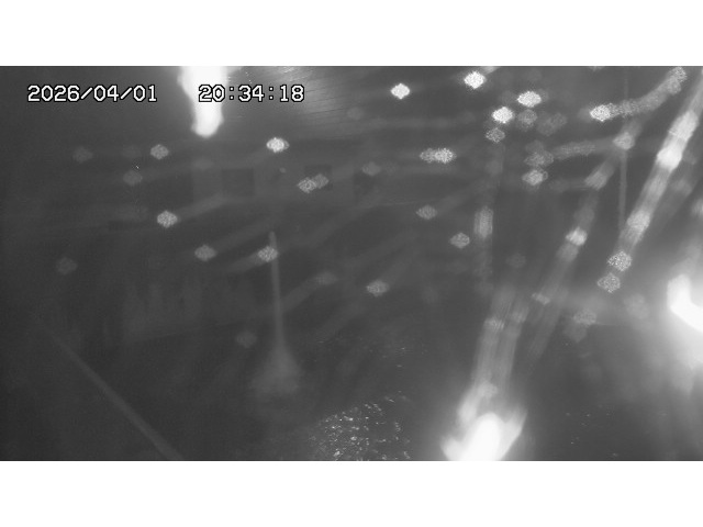 取得できませんでした