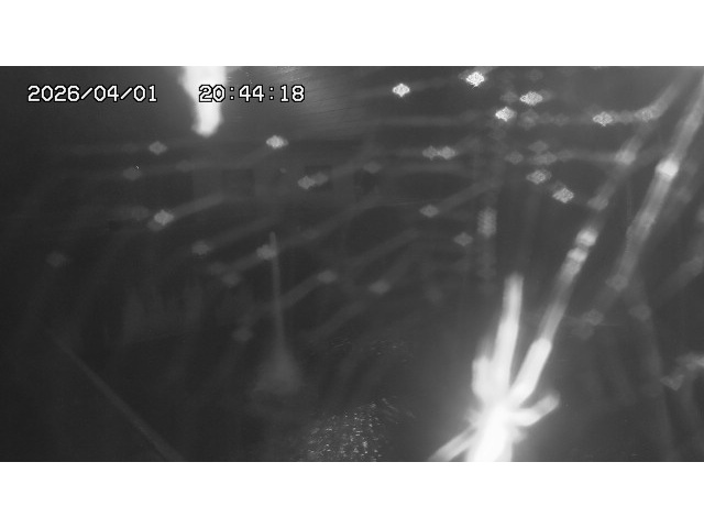 取得できませんでした