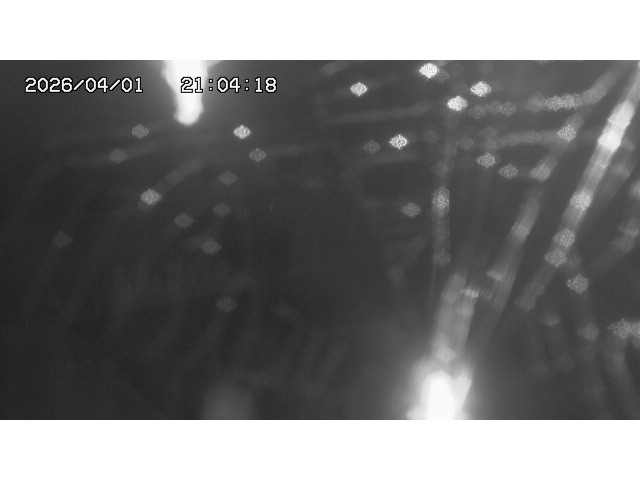 取得できませんでした