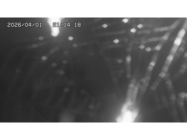 取得できませんでした