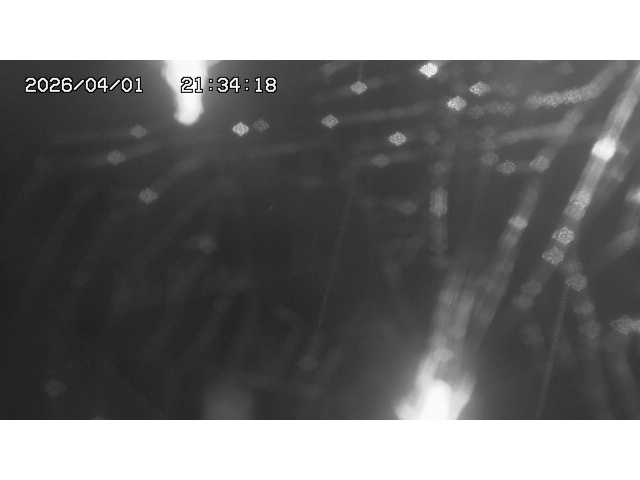 取得できませんでした