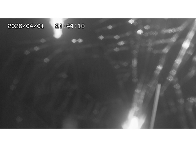 取得できませんでした