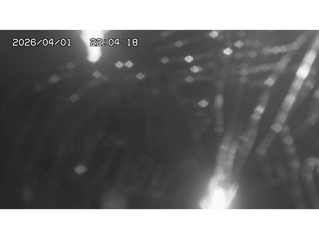 取得できませんでした