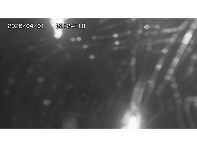 取得できませんでした