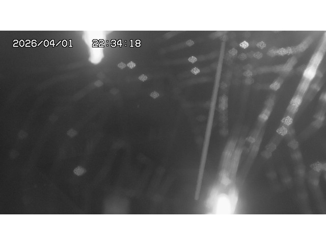 取得できませんでした